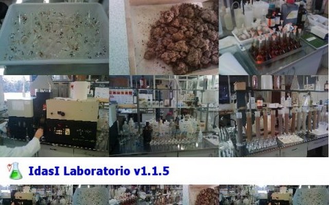 Programa de Laboratorio